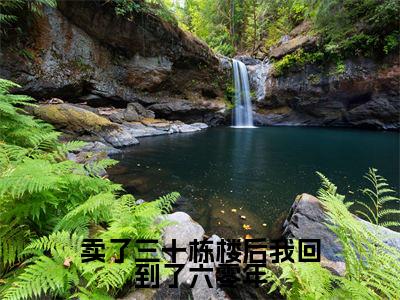 卖了三十栋楼后我回到了六零年(林紫)全文免费阅读无弹窗大结局_卖了三十栋楼后我回到了六零年最新章节列表_笔趣阁(免费+番外)