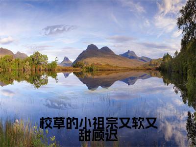 校草的小祖宗又软又甜顾迟(苏晚卿顾迟)全文免费阅读_校草的小祖宗又软又甜顾迟言诺诺,井傅宸小说最新章节列表笔趣阁