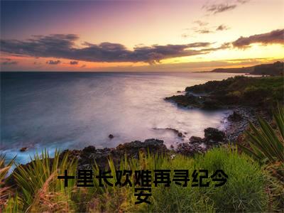 十里长欢难再寻纪今安(陆景纪今安)全文免费阅读无弹窗_陆景纪今安小说_笔趣阁