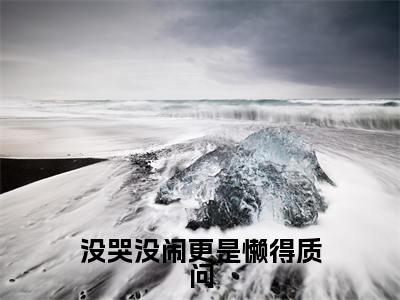 没哭没闹更是懒得质问在线阅读全文免费阅读无弹窗大结局_贺寂舟温童婳最新章节列表_笔趣阁