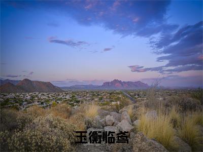 热文临鸢玉衡在线免费读-玉衡临鸢的小说（临鸢玉衡）完整版免费读全文