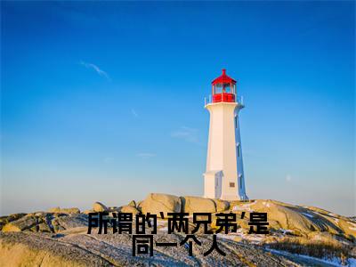 所谓的‘两兄弟’是同一个人（温辞烟顾宣珩）小说最新章节阅读-全网最新首发小说所谓的‘两兄弟’是同一个人（温辞烟顾宣珩）免费阅读全章节