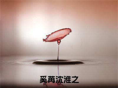 (热推新书)《奚苒沈淮之》全文免费阅读无弹窗大结局-奚苒沈淮之无弹窗阅读