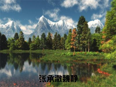 魏静张承澈（张承澈魏静）全文在线阅读无弹窗大结局_魏静张承澈精选免费小说大结局阅读_张承澈魏静