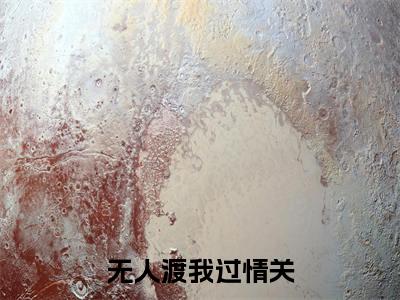 无人渡我过情关小说（江南枝宋司辰）全文免费阅读无弹窗大结局_无人渡我过情关最新章节在线阅读_笔趣阁