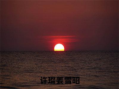 许璨姜雪昭全网首发最新小说-姜雪昭许璨全文在线免费阅读