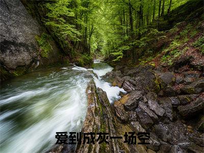 爱到成灰一场空(顾淮苏菁菁)小说免费阅读完结版-爱到成灰一场空小说全文免费阅读(顾淮苏菁菁后续+全集)