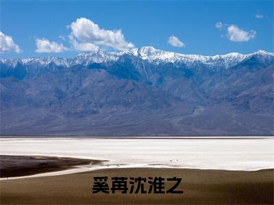奚苒沈淮之小说免费阅读奚苒沈淮之免费阅读无弹窗小说