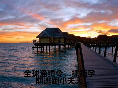 颜鹿时序（全球通缉令，抓捕孕期逃跑小夫人）全文免费阅读无弹窗完整版，（颜鹿时序）免费阅读全文最新章节列表_笔趣阁
