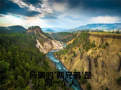 温辞烟顾宣珩(所谓的‘两兄弟’是同一个人)全文免费阅读无弹窗大结局_温辞烟顾宣珩在线阅读(所谓的‘两兄弟’是同一个人)