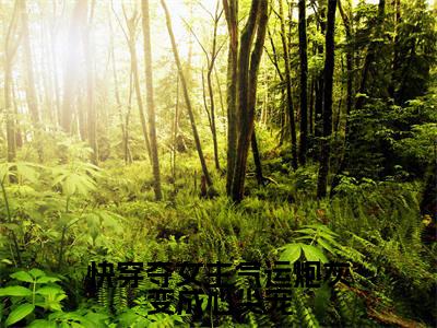 快穿夺女主气运炮灰变成心尖宠（林玖儿）全文小说免费阅读_（林玖儿）快穿夺女主气运炮灰变成心尖宠最新章节列表