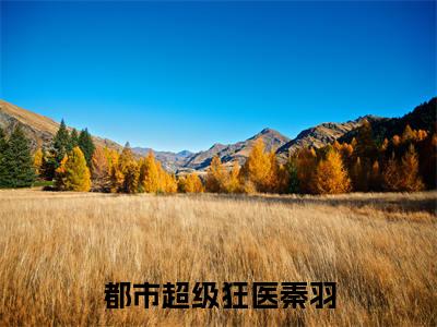 秦羽（都市超级狂医秦羽）全文免费阅读无弹窗大结局_秦羽免费阅读无弹窗最新章节列表_笔趣阁（秦羽）