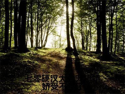 小说（七零硬汉太会宠小娇娇受不了了）在线赏析_陆延川秋好txt小说在线阅读笔趣阁