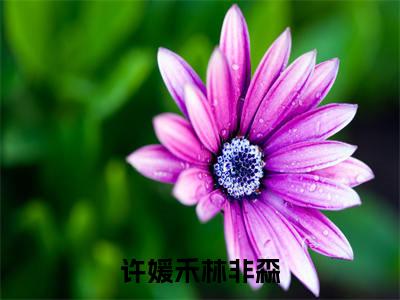 (许媛禾林非森)热门美文阅读_热门小说许媛禾林非森主人公是(许媛禾林非森)最新章节限时观看_笔趣阁