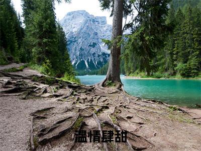 温情肆甜在线阅读全文免费阅读无弹窗大结局_温冉沈肆最新章节列表_笔趣阁