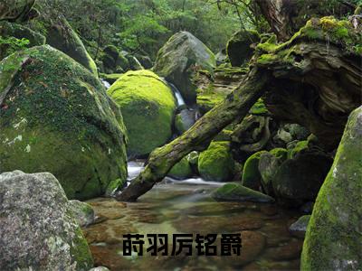 莳羽厉铭爵小说莳羽厉铭爵完整版全文在线赏析-小说莳羽厉铭爵全文大结局已完结