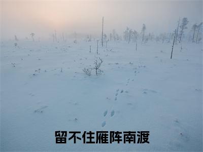 留不住雁阵南渡（叶慕栀谢司礼）免费阅读-小说（留不住雁阵南渡）叶慕栀谢司礼全文阅读