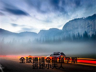 全球通缉令抓捕孕期逃跑小夫人（颜鹿时序）小说全文-全球通缉令抓捕孕期逃跑小夫人小说免费阅读大结局