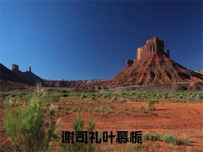 （叶慕栀谢司礼）是什么小说-（谢司礼叶慕栀）全文免费阅读无弹窗大结局（叶慕栀谢司礼）最新章节列表