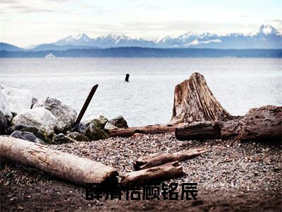 薛清怡顾铭辰(薛清怡顾铭辰)全文免费阅读_薛清怡顾铭辰(薛清怡顾铭辰)最新章节小说免费阅读