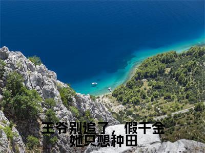 沈清棠(王爷别追了,假千金她只想种田)完整版小说阅读大结局_沈清棠(王爷别追了,假千金她只想种田)全文免费阅读笔趣阁