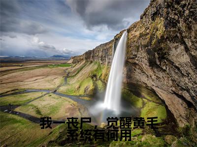 我一丧尸，觉醒黄毛系统有何用（张辰顾欣妍）全文免费阅读无弹窗大结局_（我一丧尸，觉醒黄毛系统有何用）最新章节列表_笔趣阁