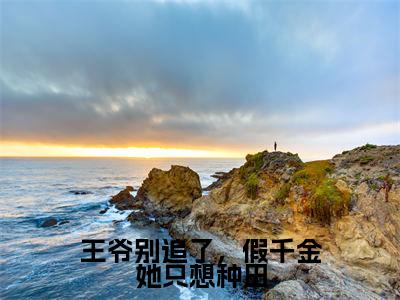 （沈清棠）全文免费阅读无弹窗大结局_（王爷别追了，假千金她只想种田全文免费）沈清棠小说最新章节列表_笔趣阁