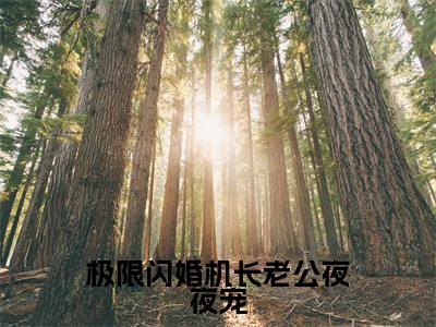 主角为裴亦楚沈薄妄的小说精彩阅读-极限闪婚机长老公夜夜宠最新章节阅读