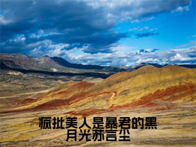 主角柳依苏言尘小说疯批美人是暴君的黑月光苏言尘小说全文免费阅读（免费）+（番外）