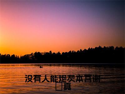 没有人能炮灰本宫谢珝真小说谢珝真最新更新—谢珝真小说美文赏析