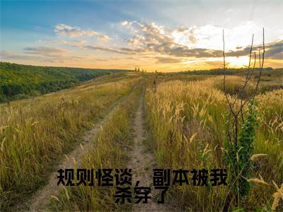规则怪谈，副本被我杀穿了热门推荐小说（秦止）精彩章节阅读-规则怪谈，副本被我杀穿了全文免费在线阅读_笔趣阁