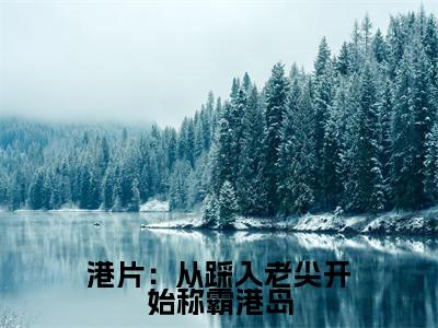 港片：从踩入老尖开始称霸港岛小说最新章节-苏文圳全文免费阅读无弹窗大结局
