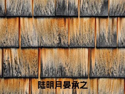 陆明月晏承之全文推荐阅读,陆明月晏承之热门榜单免费新书阅读