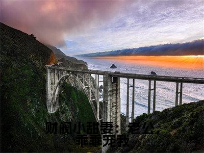 财阀小甜妻：老公，乖乖宠我（古暖暖江尘御）小说全文免费阅读无弹窗大结局_古暖暖江尘御全文免费阅读