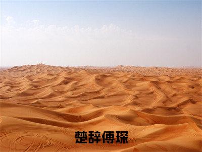 傅琛楚辞免费楚辞傅琛读无弹窗最新章节列表_笔趣阁(傅琛楚辞)