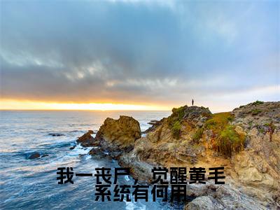 经典小说我一丧尸,觉醒黄毛系统有何用无广告小说免费阅读张辰顾欣妍全章节免费阅读