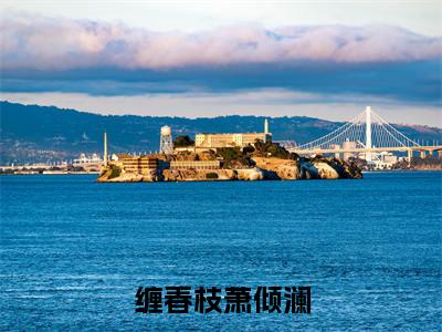 缠春枝萧倾澜小说全文-缠春枝萧倾澜（姜清颜萧倾澜）最新章节免费阅读