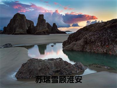 顾淮安苏瑞雪（顾淮安苏瑞雪）全文免费阅读无弹窗_苏瑞雪顾淮安全文免费阅读最新章节大结局