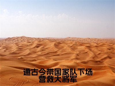 通古今带国家队下场营救大将军全文（战风渊白暴雨）全文免费阅读无弹窗大结局_战风渊白暴雨全文免费阅读最新章节列表