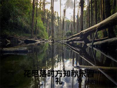 花尽落时方知秋宋晋礼（唐皖宋晋礼）多人推荐阅读-精选小说（唐皖宋晋礼）完整版免费阅读