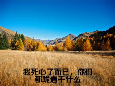 我死心了而已,你们都跪着干什么(夏夜薄之洲)笔趣阁免费小说_我死心了而已,你们都跪着干什么笔趣阁全文阅读