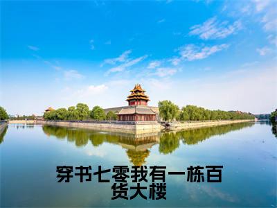 穿书七零我有一栋百货大楼在线阅读(林安徐婉宁)全文免费阅读无弹窗大结局_林安徐婉宁最新章节列表笔趣阁(穿书七零我有一栋百货大楼)