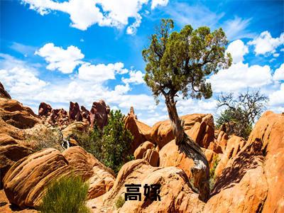 高嫁全文小说（顾昙）全文阅读-高嫁在线小说免费阅读