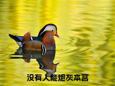 没有人能炮灰本宫全文免费在线阅读_（没有人能炮灰本宫免费阅读无弹窗）谢珝真全文免费完结版阅读