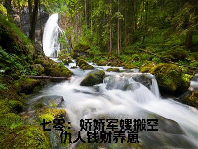 (陆怀景唐菀)七零:娇娇军嫂搬空仇人钱财养崽小说全文免费_(陆怀景唐菀)最新章节列表笔趣阁