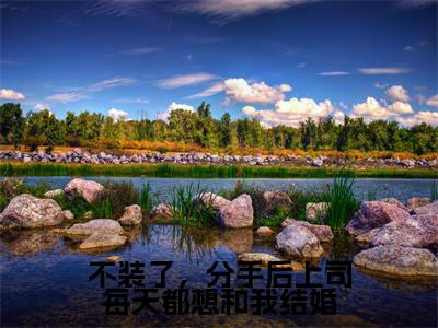 不装了,分手后上司每天都想和我结婚(凃婳沈斯言)热门免费小说-凃婳沈斯言(不装了,分手后上司每天都想和我结婚)精彩小说全文赏析
