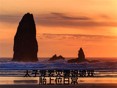 太子宠妾灭妻娘娘双胎上位日常(姜时若)小说最新章节阅读-全网最新首发小说太子宠妾灭妻娘娘双胎上位日常(姜时若)免费阅读全章节