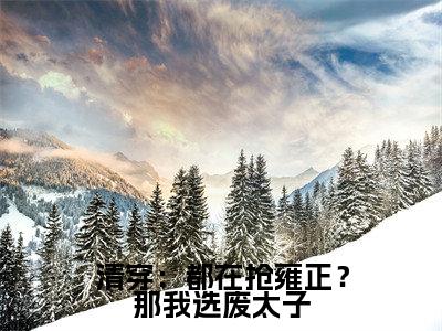 《清穿：都在抢雍正？那我选废太子》主角是石毓敏胤礽全文免费阅读已完结