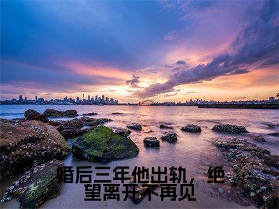婚后三年他出轨，绝望离开不再见小说全文免费阅读_（何婉）婚后三年他出轨，绝望离开不再见完结版在线阅读最新章节列表笔趣阁