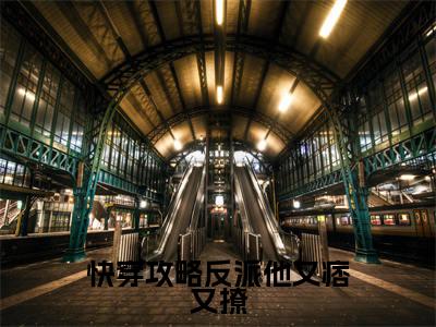 热文甄艾在线免费读-快穿攻略反派他又痞又撩的小说(甄艾)完整版免费读全文